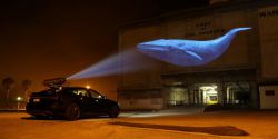 Full Frame Film Fest festival