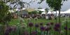 Hay Festival Wales thumb 6