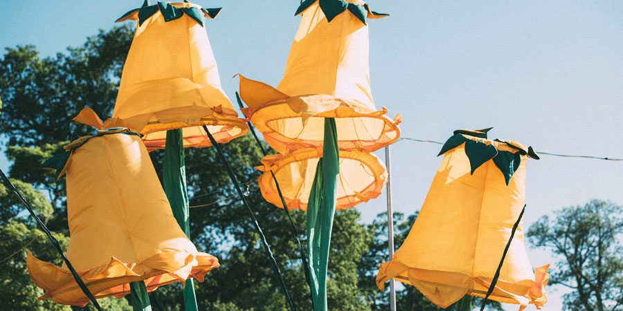Kendal Calling image 11
