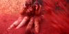 La Tomatina thumb 13