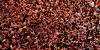 La Tomatina thumb 4