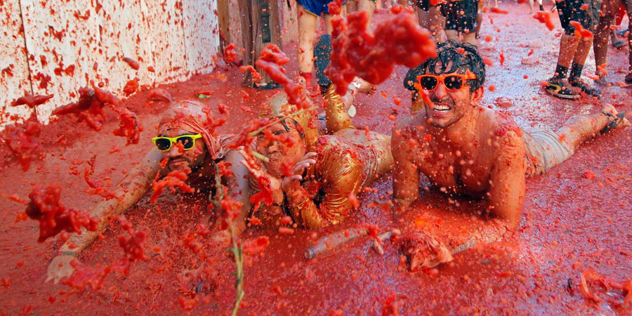 La Tomatina image 10
