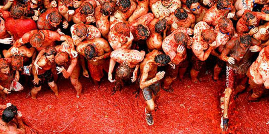 La Tomatina image 6