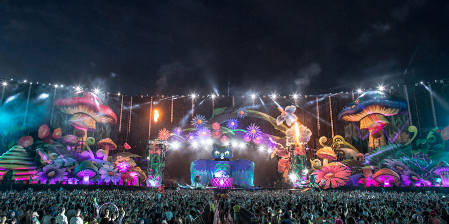 Lollapalooza image 4