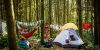 Pickathon thumb 12