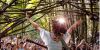 Pickathon thumb 13