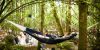 Pickathon thumb 3