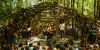 Pickathon thumb 4