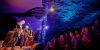 Pickathon thumb 7