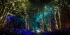 Pickathon thumb 8