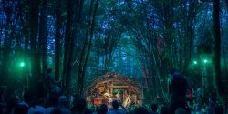 Pickathon festival