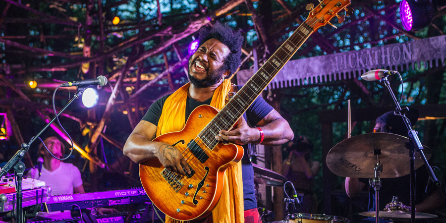 Pickathon image 10