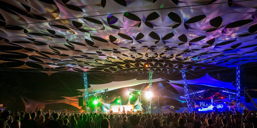 Pickathon image 11