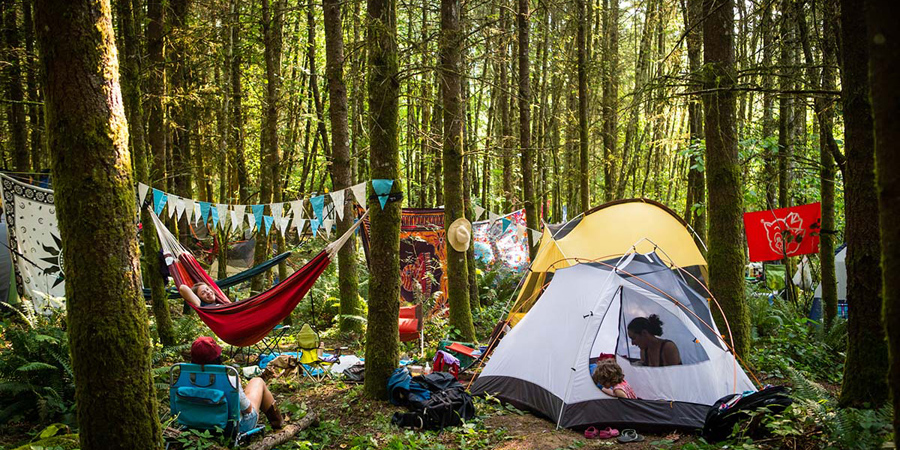 Pickathon image 12