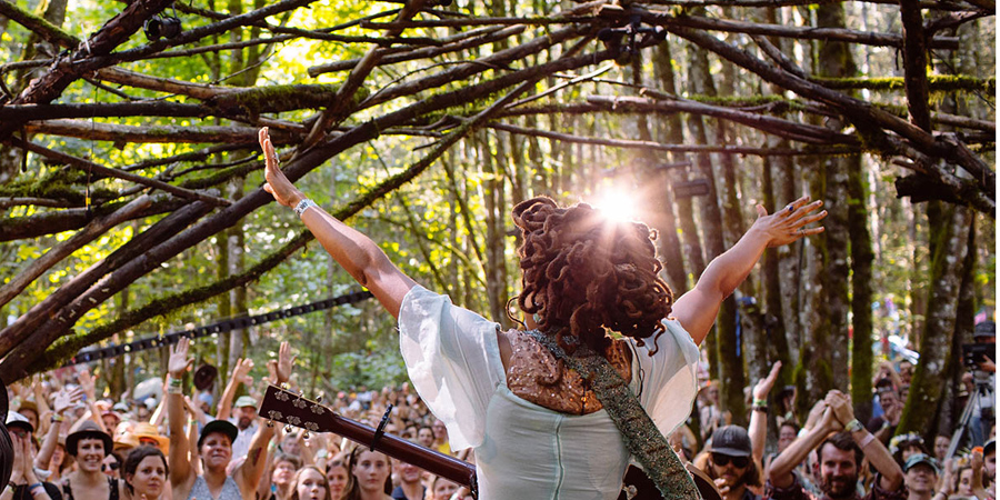 Pickathon image 13