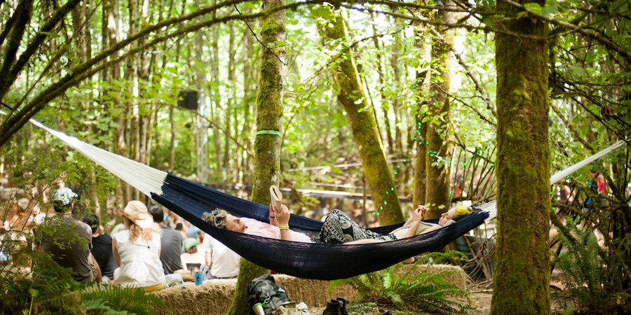 Pickathon image 3