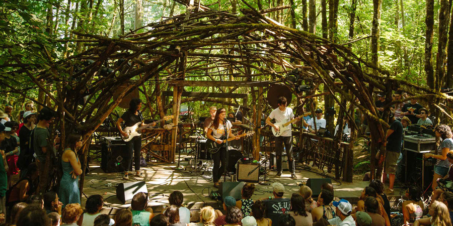Pickathon image 4