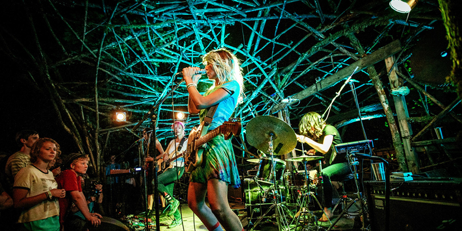 Pickathon image 5