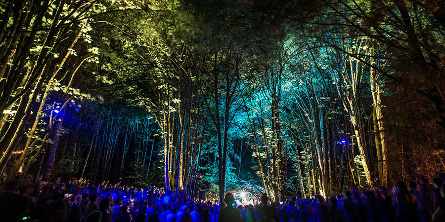 Pickathon image 8