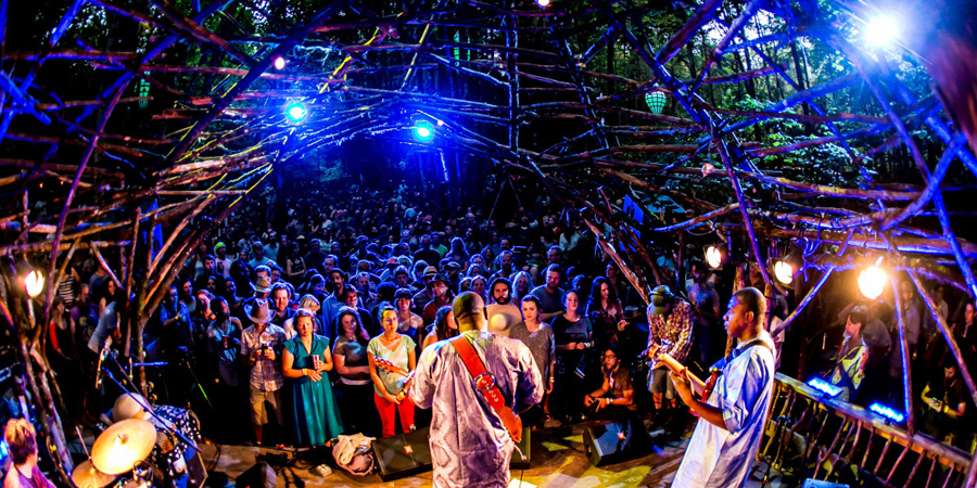 Pickathon image 9