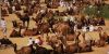 Pushkar Fair thumb 0