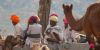 Pushkar Fair thumb 7