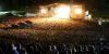Splendour in the Grass thumb 10