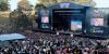 Splendour in the Grass thumb 9