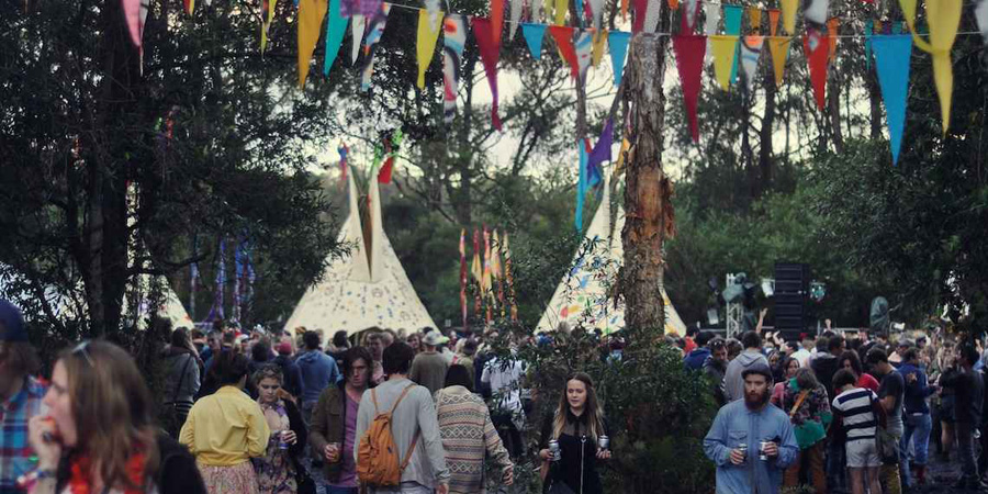 Splendour in the Grass image 8