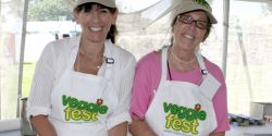 Veggiefest Chicago festival