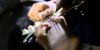 Vinterjazz thumb 1